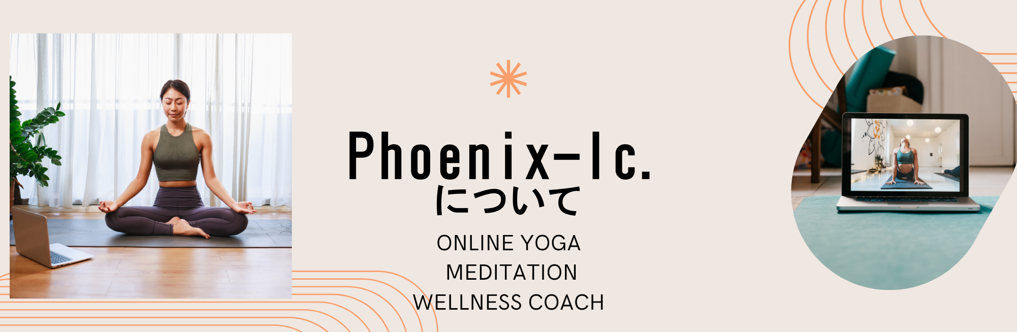 Phoenix-lc.について