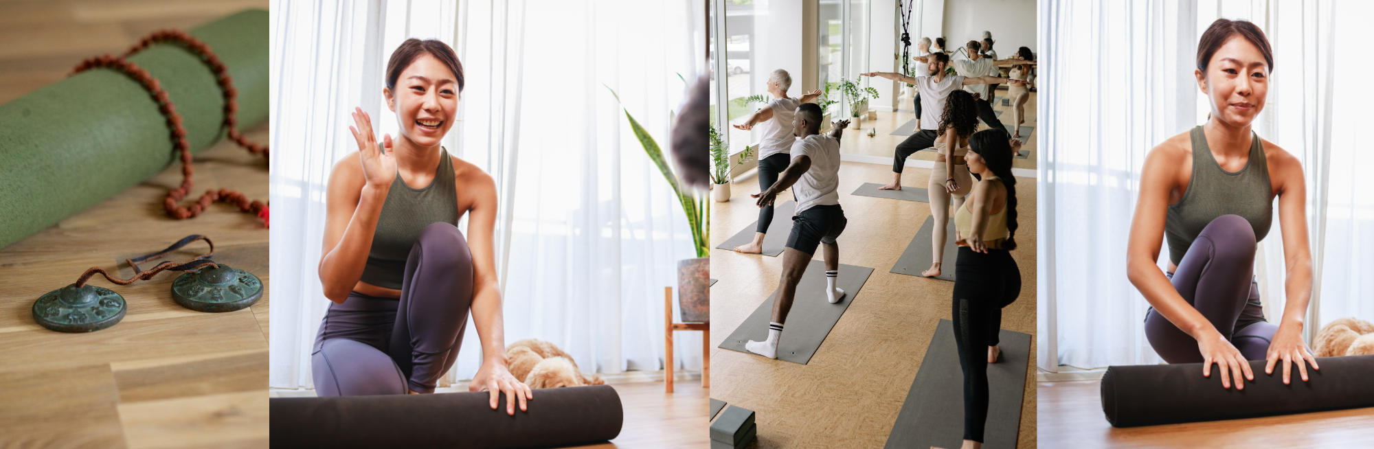 Phoenix-lc.について